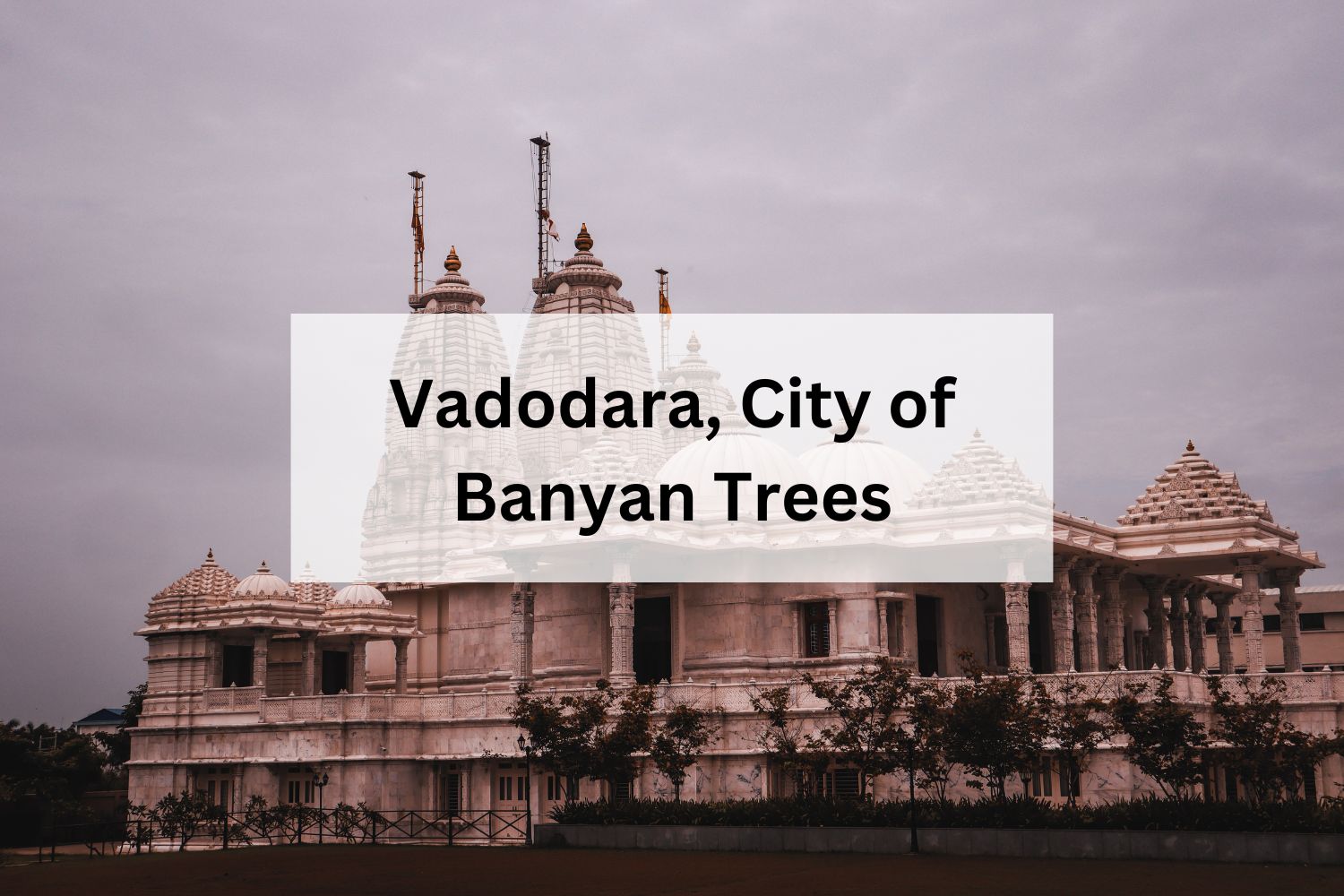 Vadodara, City of Banyan Trees