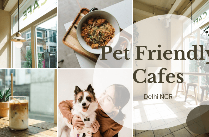 Top 5 Pet-Friendly Cafes in Delhi NCR for You & Your Furry Friend